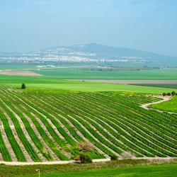 הסדר מקרקעין במגזר החקלאי: אתגרים ופתרונות טכנולוגיים